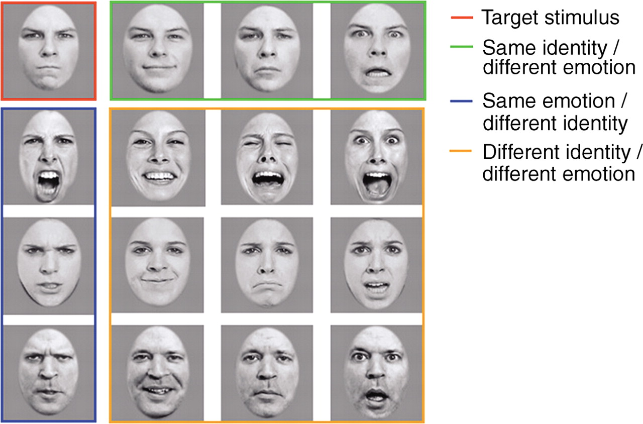 Facial expressions archer